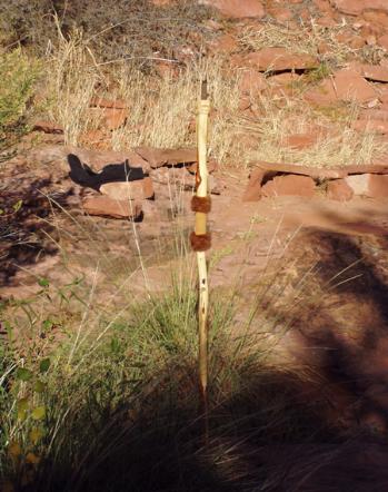 This red diamond willow walking staff ( the groom) the crystal was smokey quartz. Blessings to them both on there sacred wedding day in Sedona, Arizona 2003
